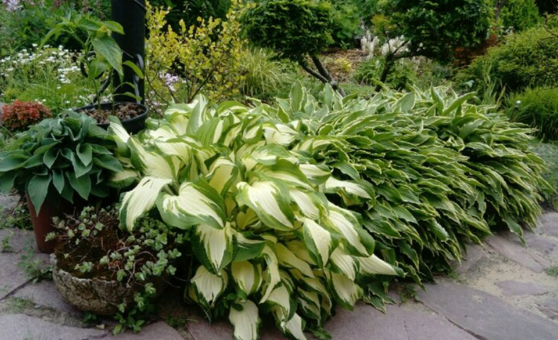 бывает и такое