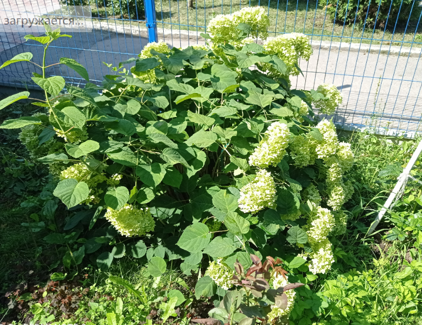 у-у, нет сил бороться!