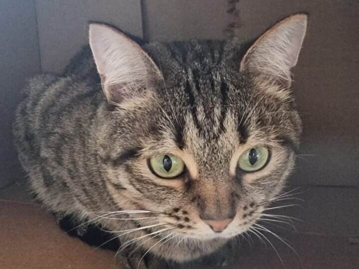 История Сьюзи: маленькое чудо на пыльной остановке