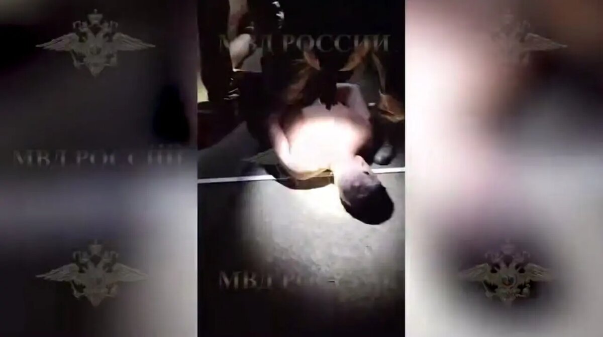    Фото: скриншот из видео официального представителя МВД Ирины Волк.