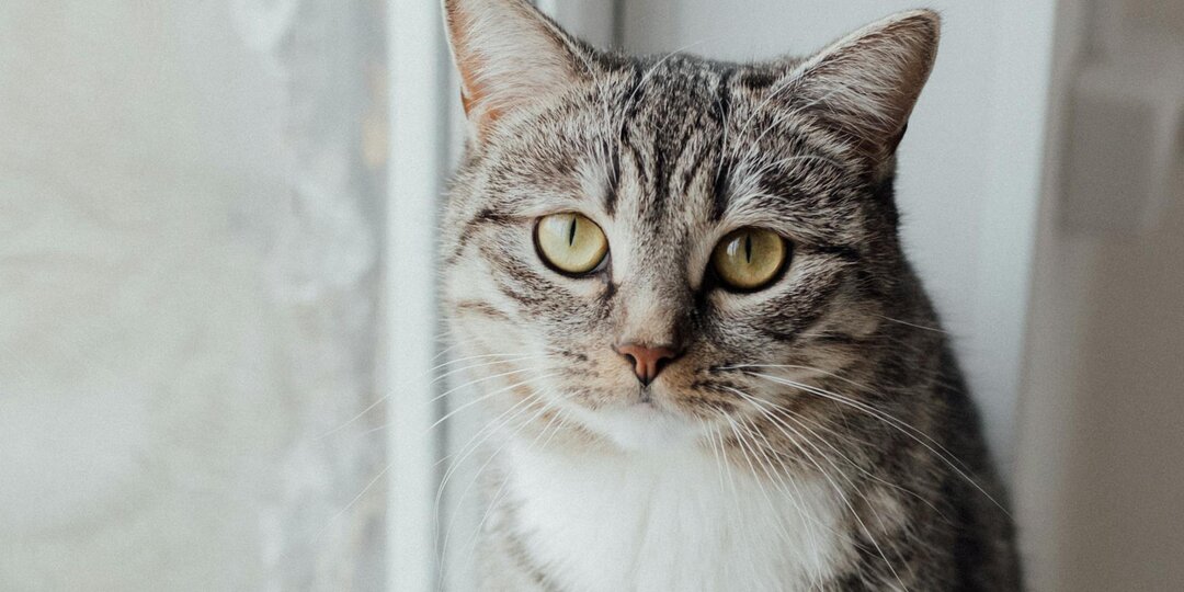 Давно пора о нём забыть