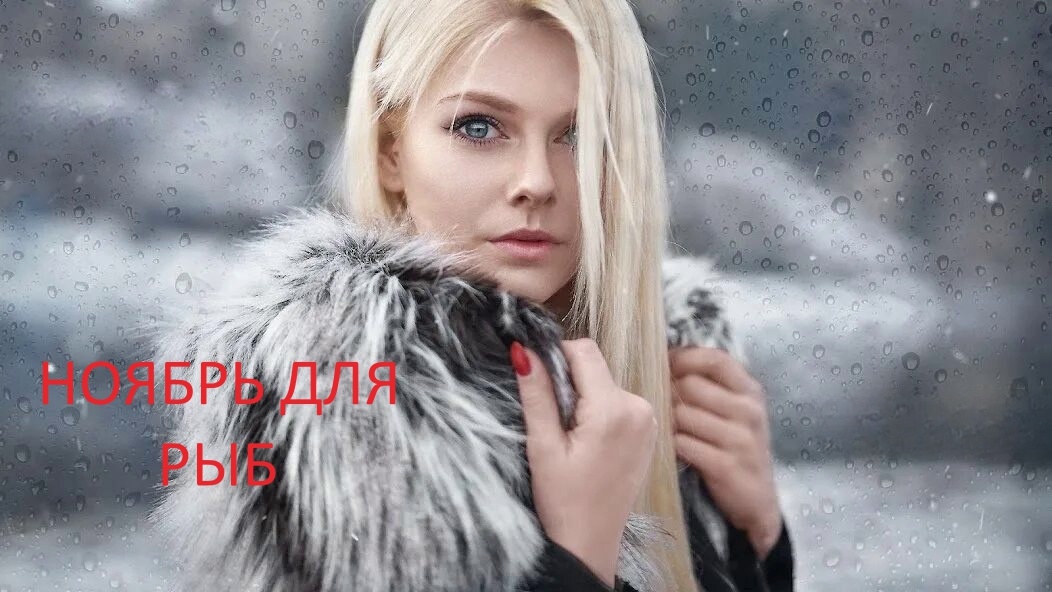 Рыбы в ноябре. Фото в свободном доступе.