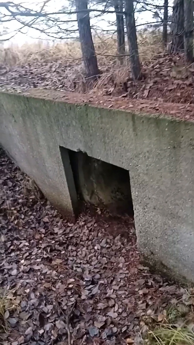 Моя находка. 