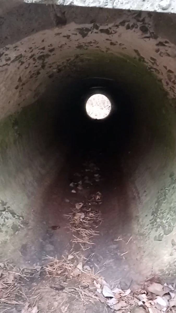 Моя находка. 