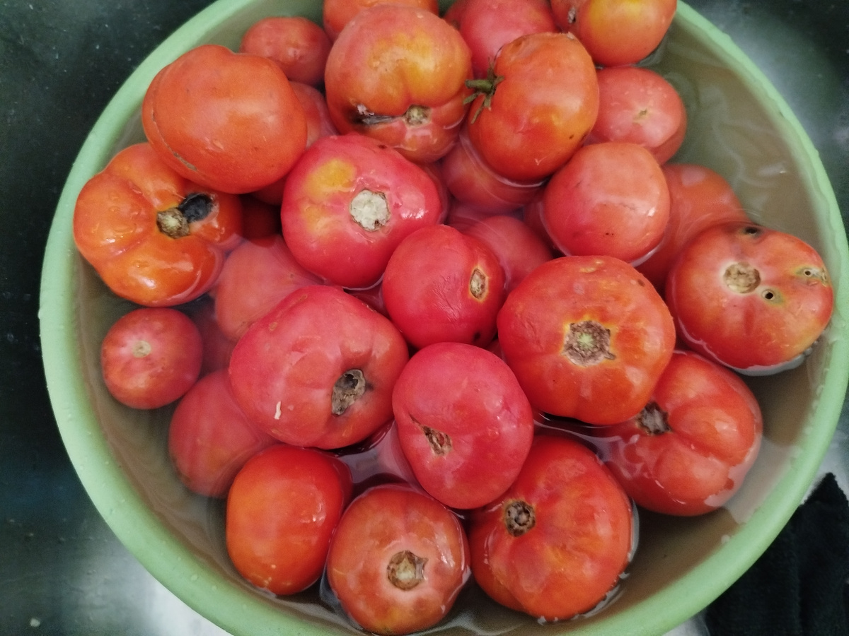 Вот такие помидоры использовали мы. Все промыли, убрали негодные части и начали приготовление