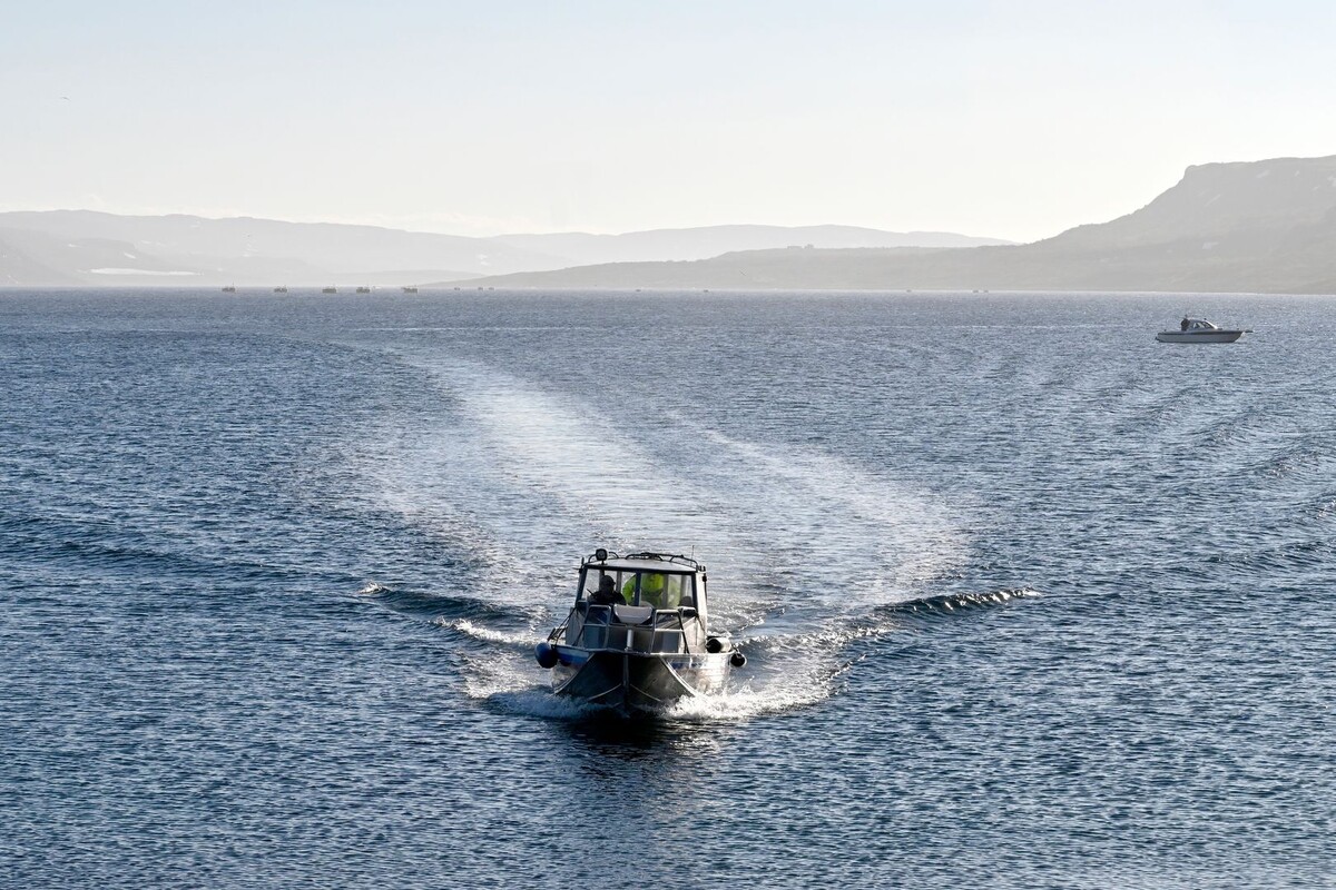     / Источник: © Лев Федосеев/ТАСС