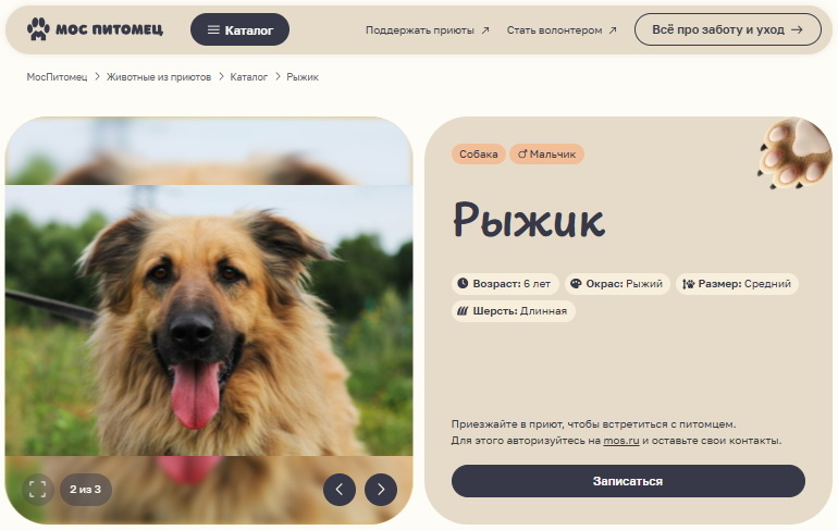 Скриншот страницы Рыжика на "Моспитомце"