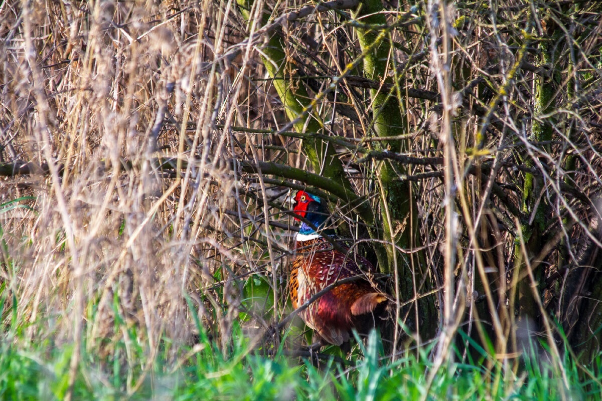 Фото с сайта: https://dzen.ru/a/ZlbXdDmpWn-X_TL5