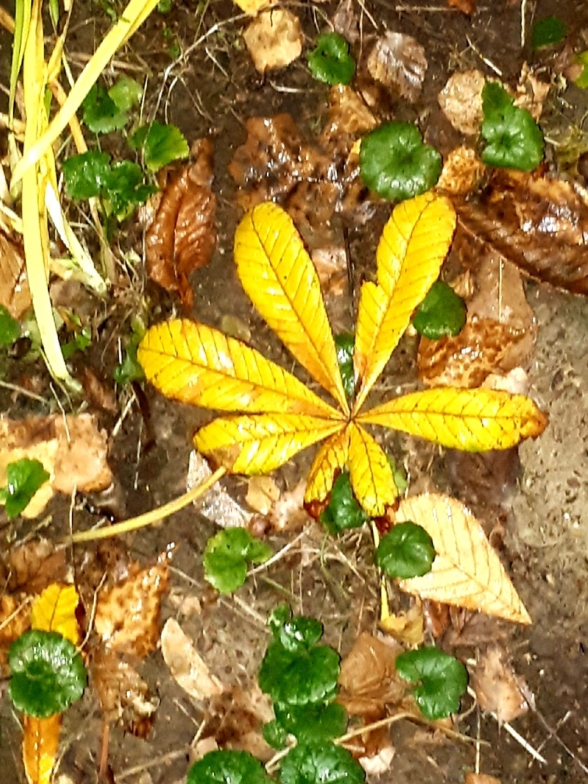 Фото автора 07.11.2025г.