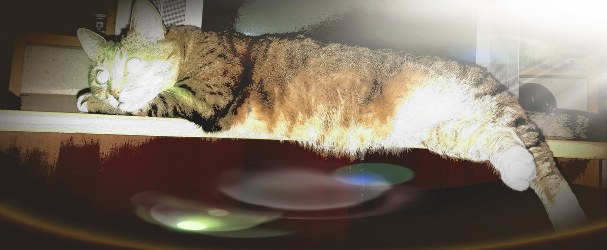 Фото автора 07.11.2025г.