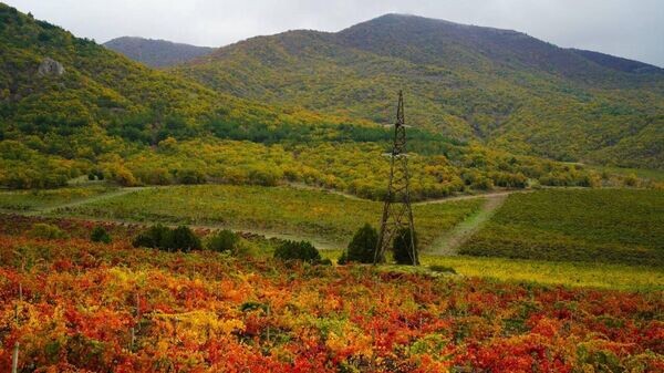    © Telegram Галина Огнева