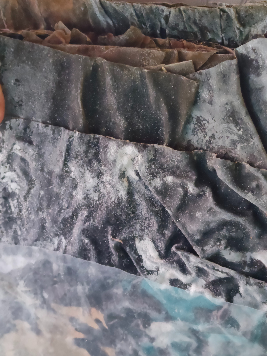 Листы Комбу(Конбу) Внешне – это бурая водоросль, в длину достигающая 20 метров, в ширину 30 см. Добывают её на глубине 5-7 метров в Северном море в районе Хоккайдо. Но все же большую часть перерабатываемой водоросли выращивают искусственно.