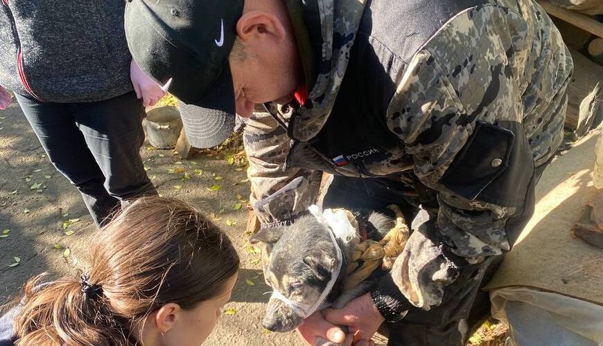    мэрия Казани