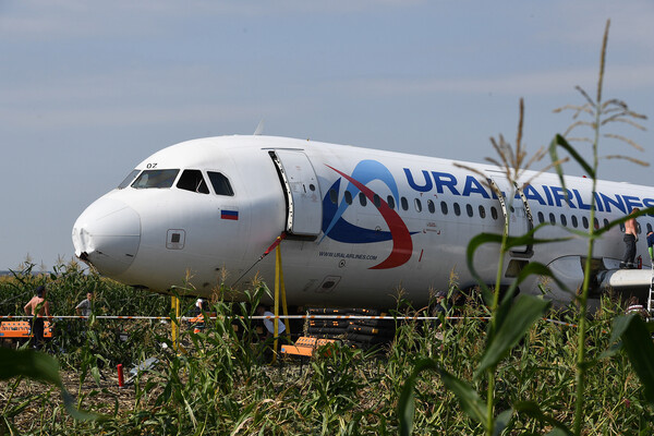 Самолет Airbus А321 авиакомпании «Уральские авиалинии» в кукурузном поле в районе деревни Рыбаки в Раменском районе Московской области / Рамиль Ситдиков/РИА Новости  