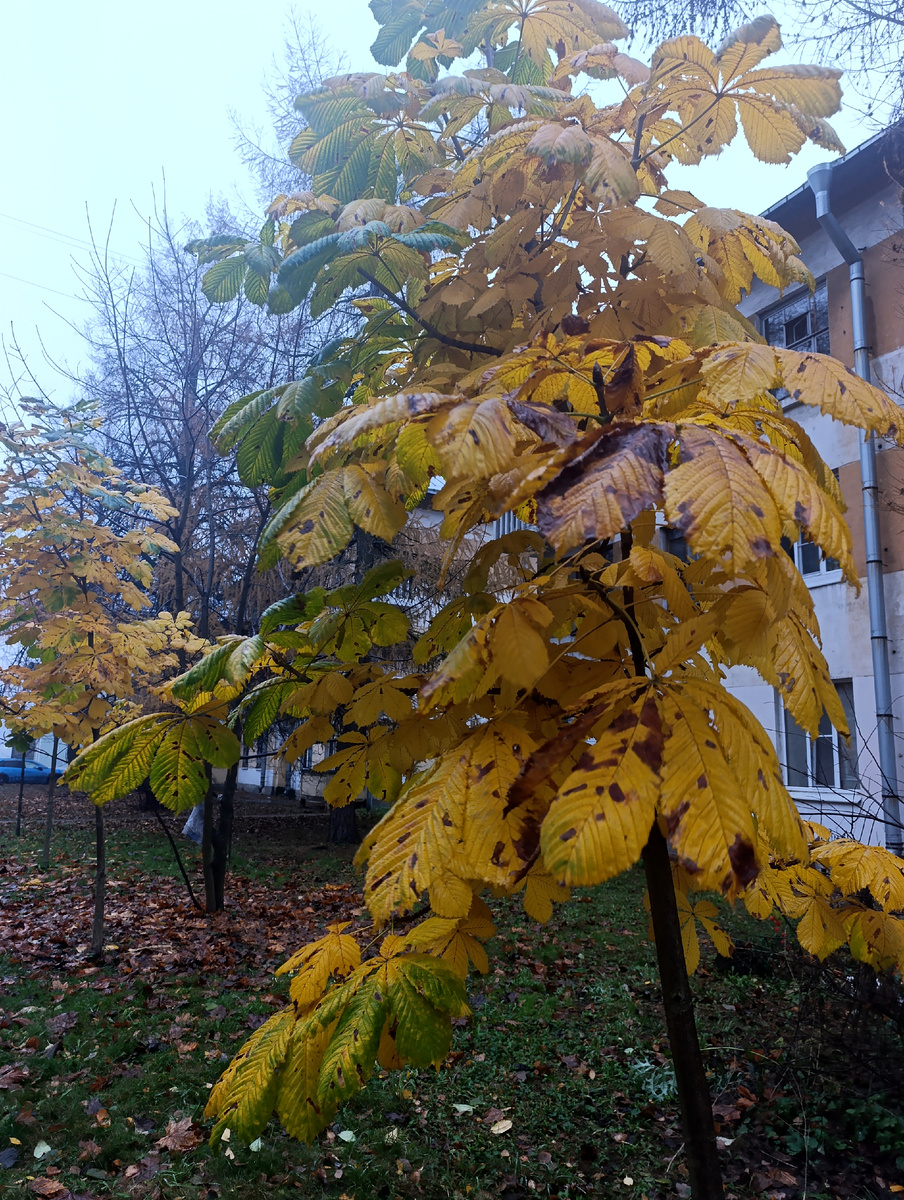 Все фото автора. 