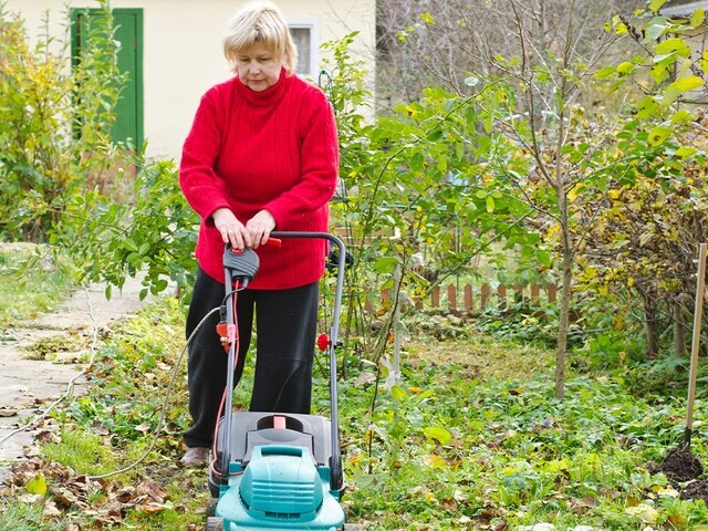    Фото: 123RF.com/lssht