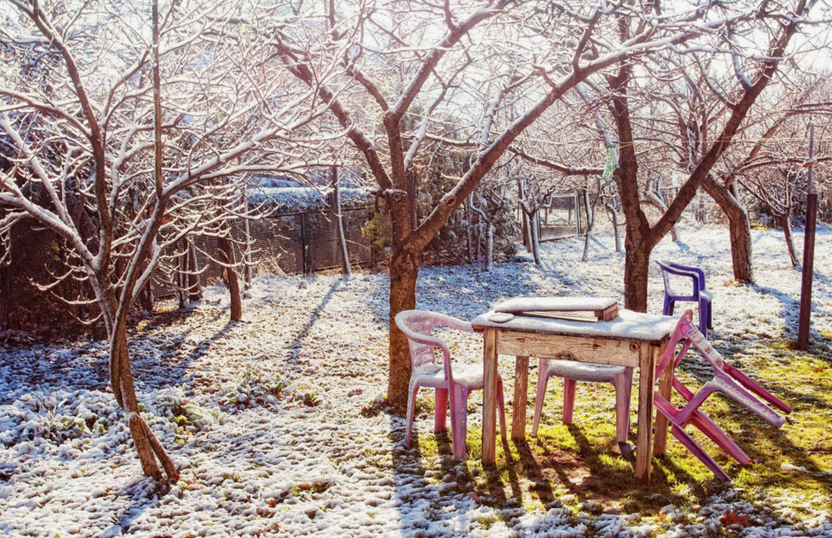 Источник фото: dzen.ru