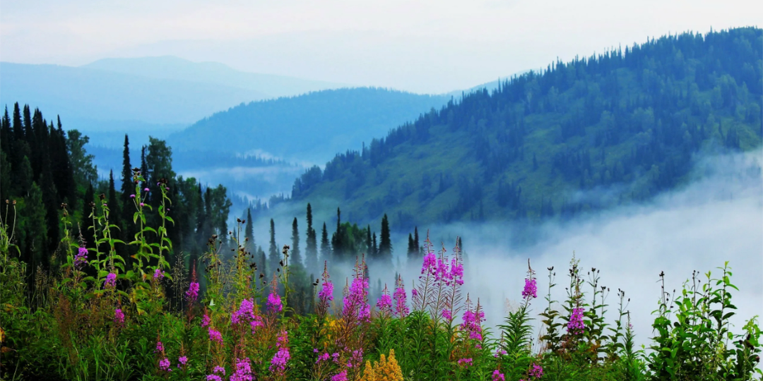 Сегодня День Сибири- края загадок, силы и щедрых сердец