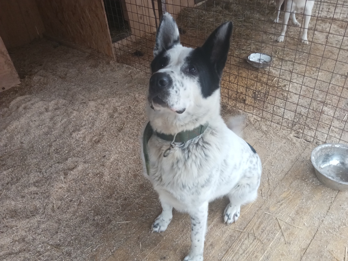 Мишка, где твоя улыбка? 