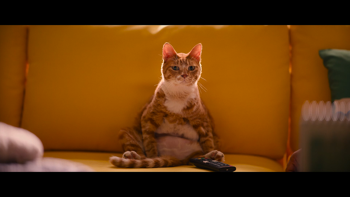 Кадр из фильма Моя дочь – зомби (2025)