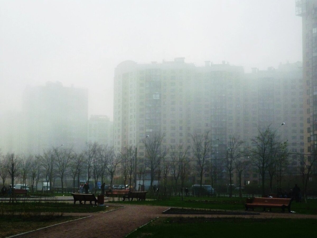 Красносельский район. Фото автора