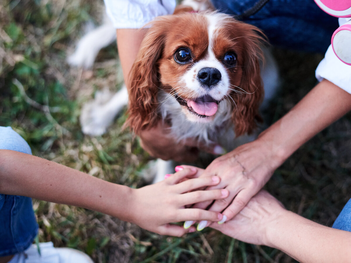Ниже, я не дотягиваюсь! 