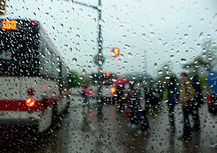 Фото из интернета.