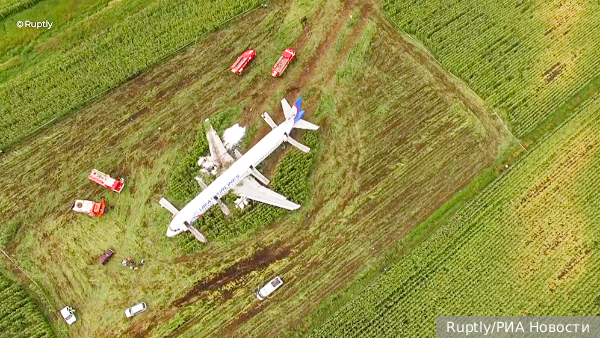     Фото: Ruptly/РИА Новости   
 Текст: Дарья Григоренко