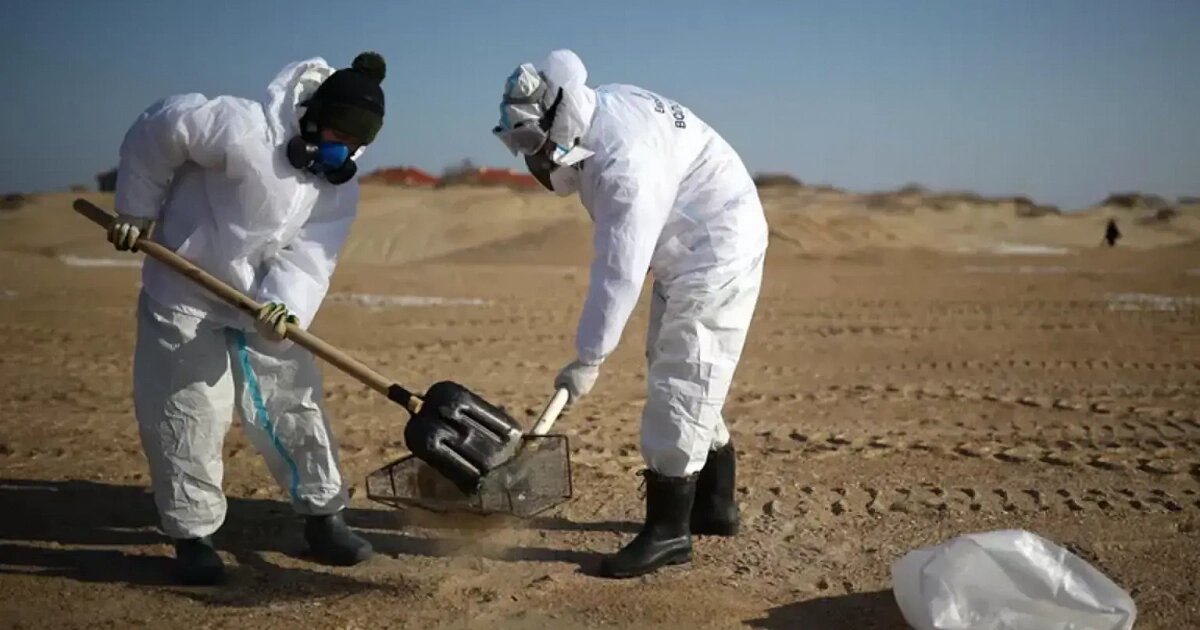 Фото: Виталий Тимкив / РИА Новости