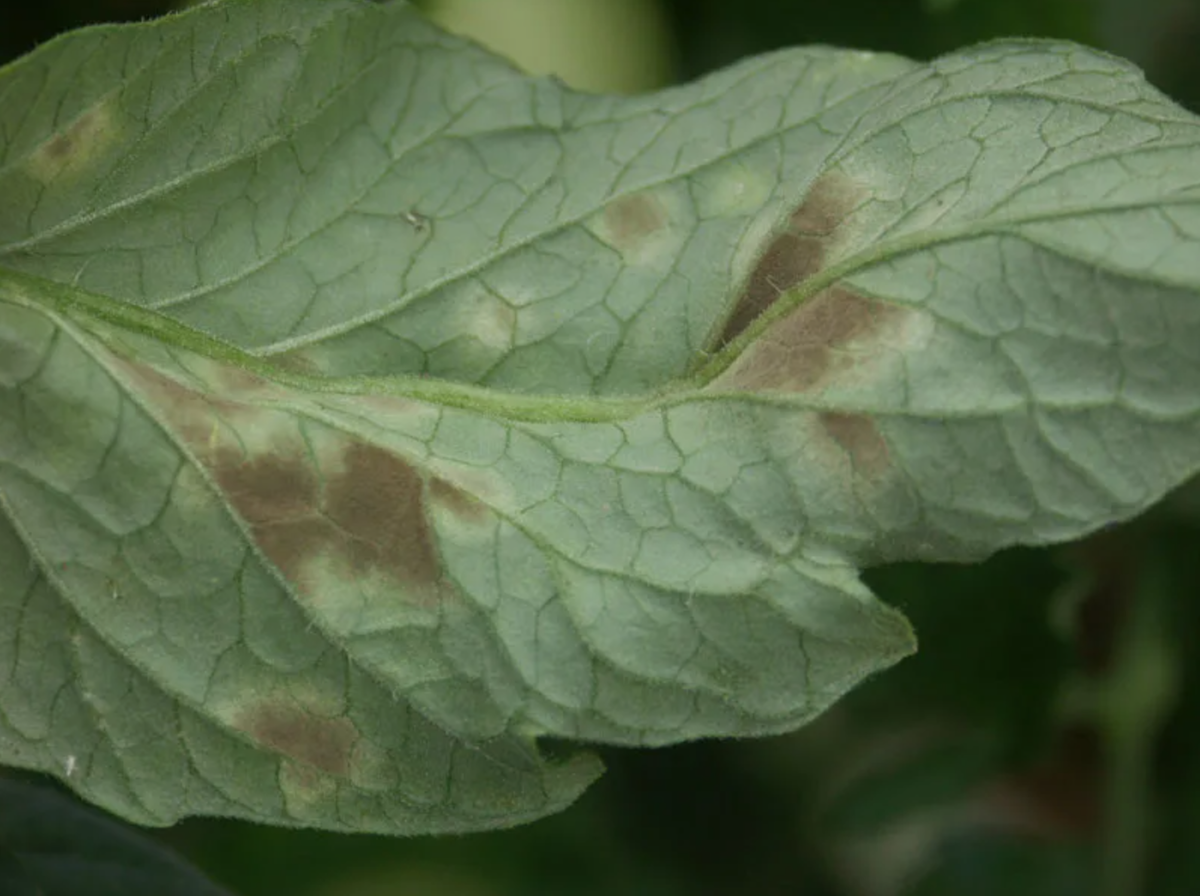 Источник фото: dzen.ru