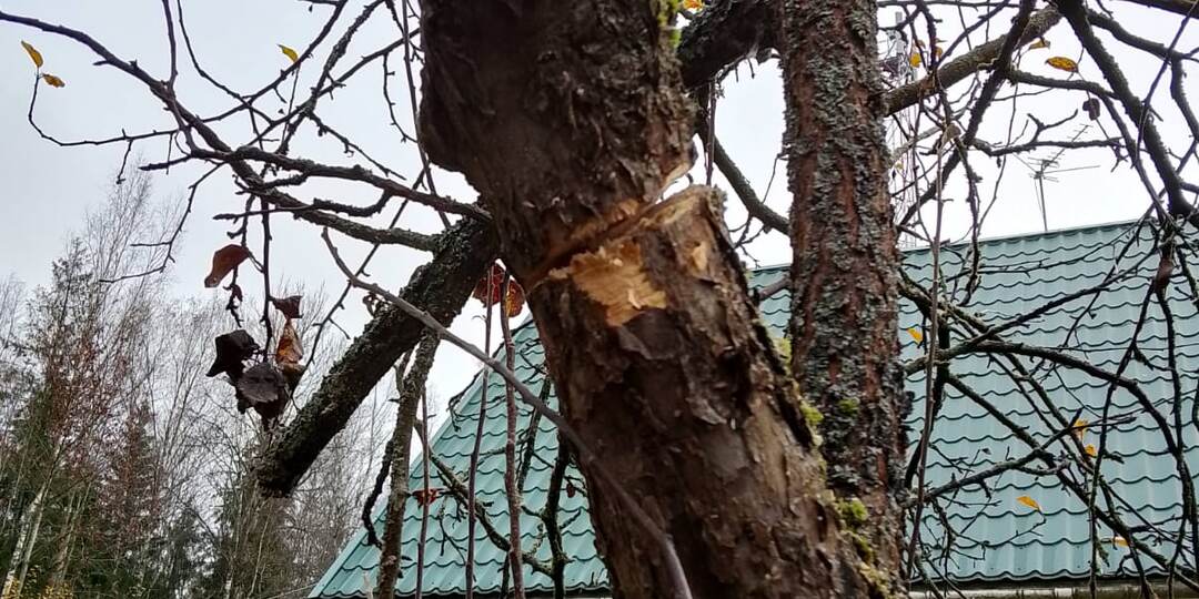 Закрытие сезона 2025