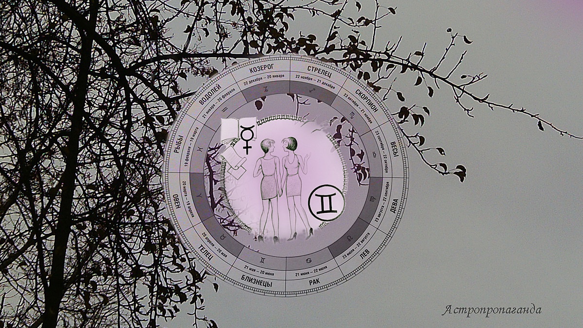 Гороскоп для Близнецов с 3 по 30 ноября 2025.