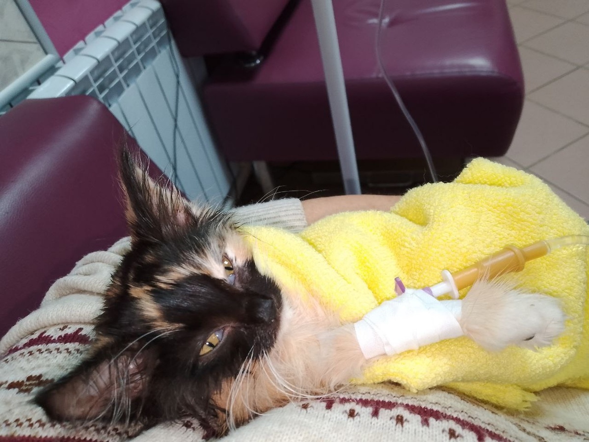 Гарантии на выздоровление были минимальными