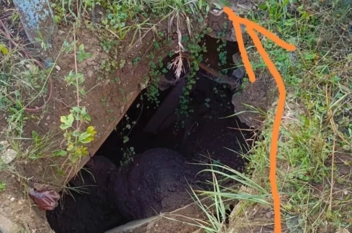    Кричала напрасно.