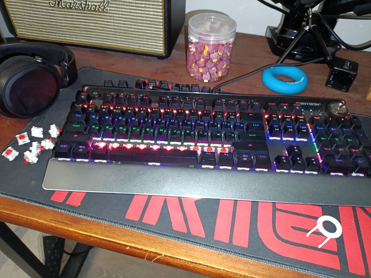 Подопытная в естественной среде обитания