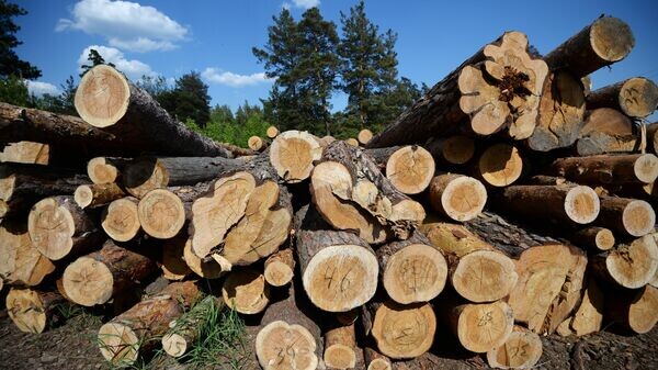    © РИА Новости . Александр Кряжев