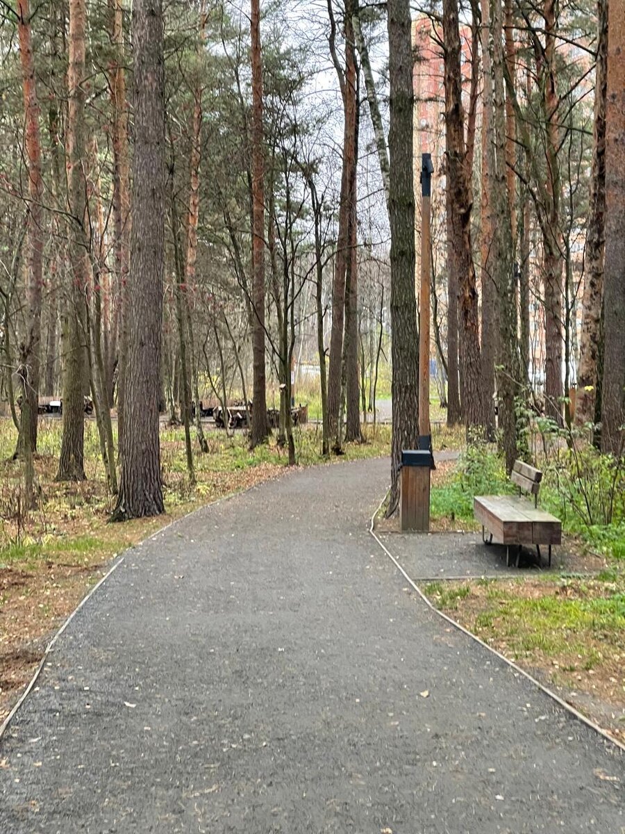 Осенний лес .