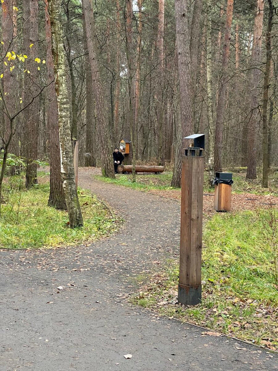 Осенний лесопарк