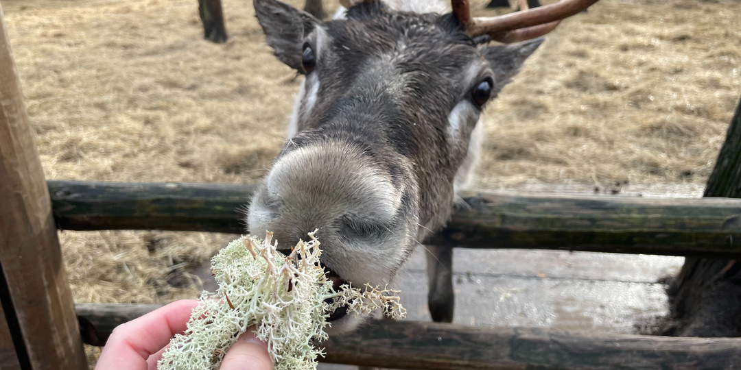 Чем заняться в Самаре осенью?