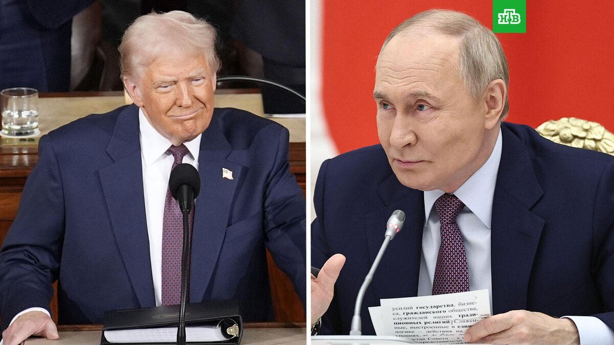    Фото: РИА Новости © 2025, Михаил Терещенко