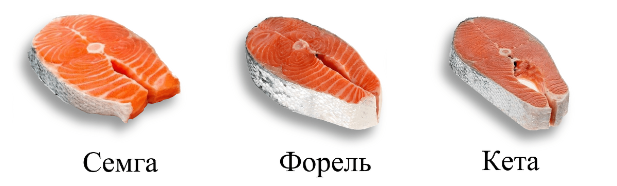 и в разрезе!