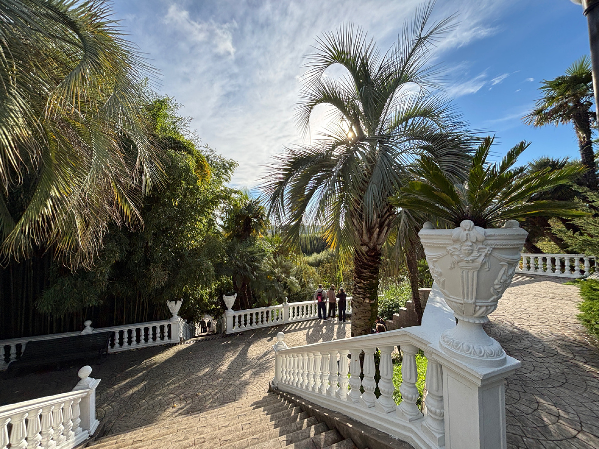 Фото автора. Парк «Южные культуры» подарит много впечатлений 