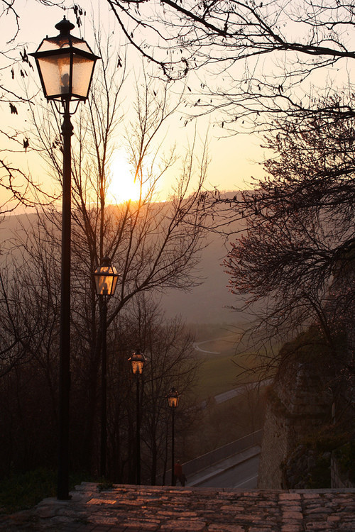 Фото из открытого источника