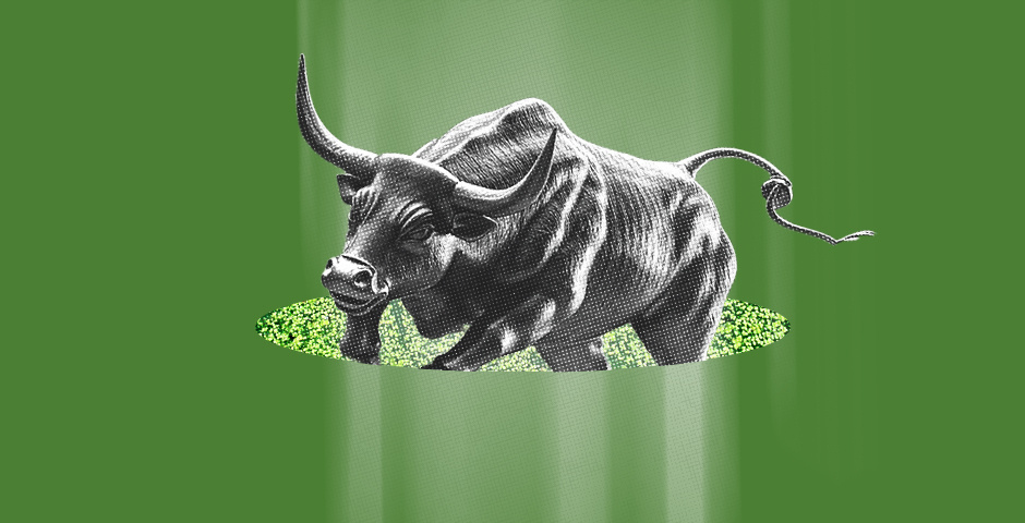    Коллаж: «Эксперт»