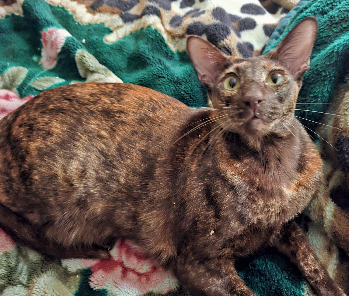 В смысле, нельзя, мамаша? Это мой район!