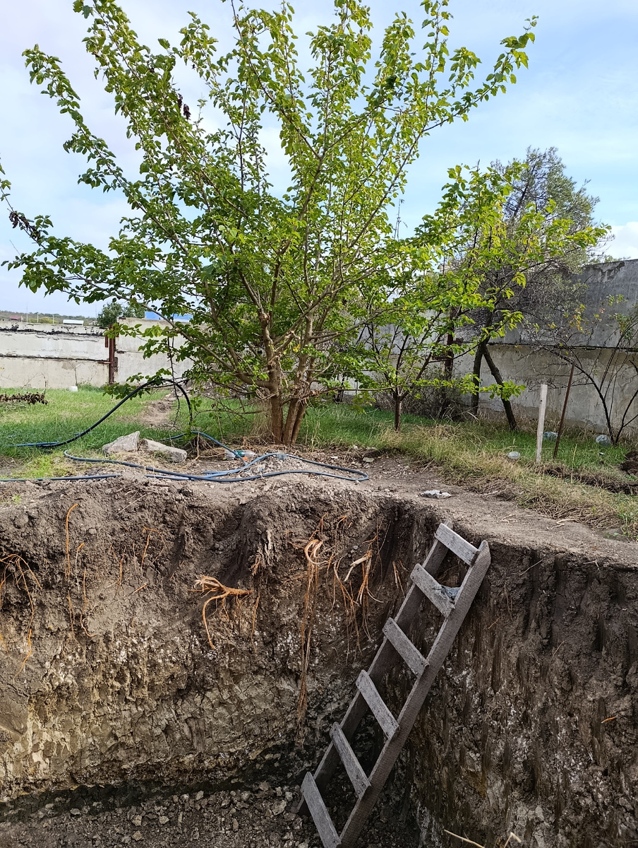 Лестница в погреб. 