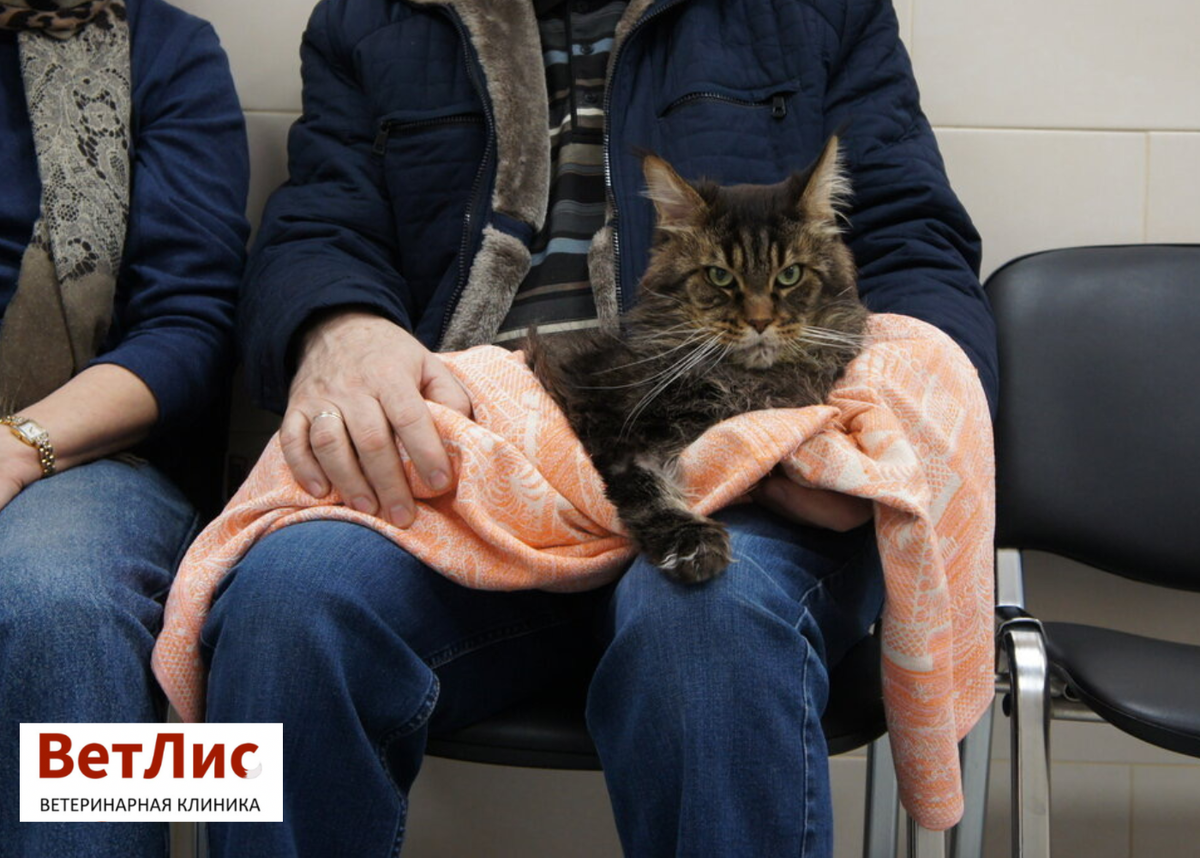 В ожидании своей очереди на осмотр