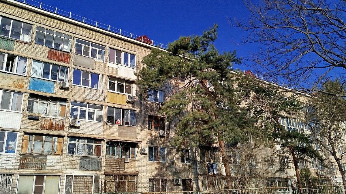    Фото: телеканал «Краснодар»