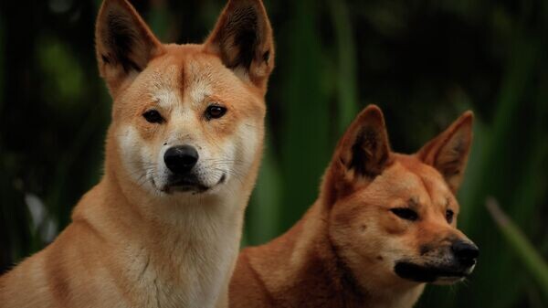    © Getty Images / Mark Evans