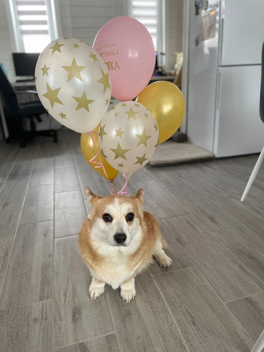 "Вот она я - твоя роковая ошибка..."